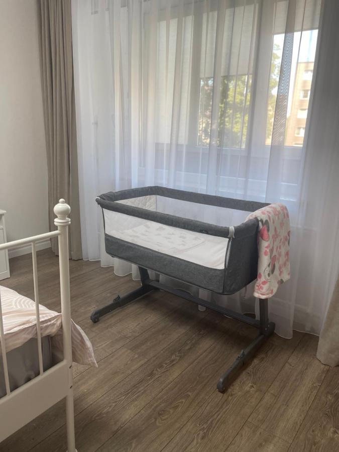 Apartments In The City Center Birzai Vytauto G22 Εξωτερικό φωτογραφία